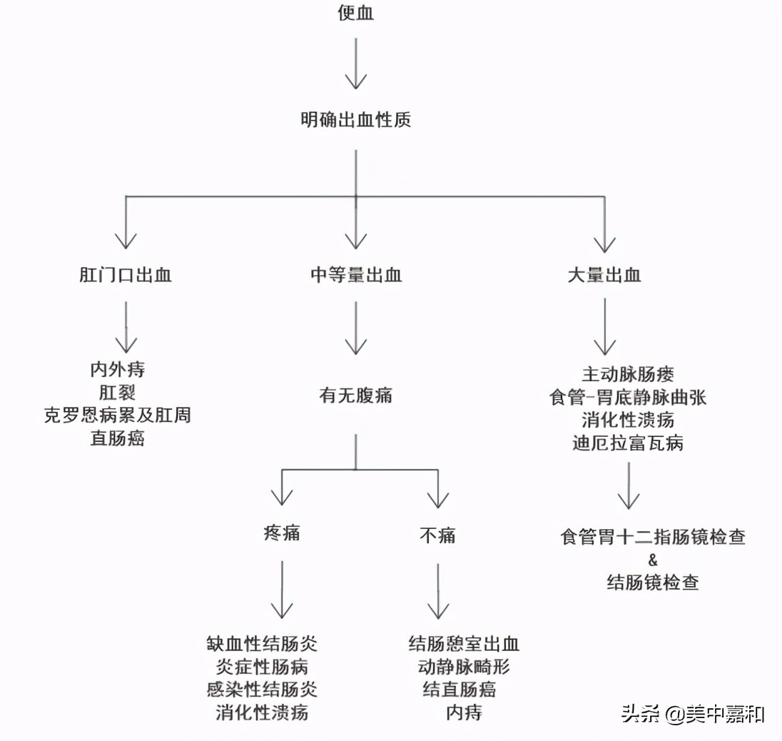 便血是痔疮怎么处理,便血是什么原因抹什么药