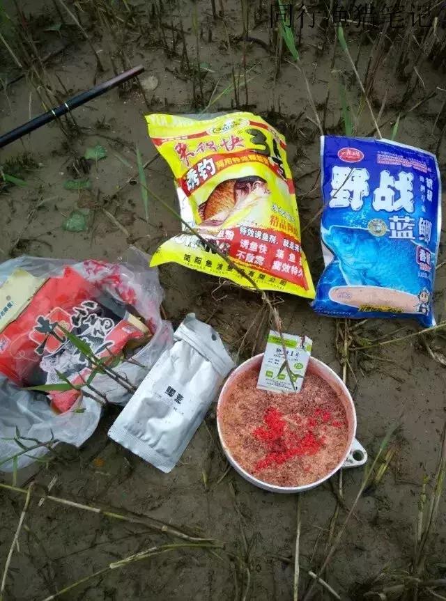 钓鱼记录2019,最新的钓鱼日记