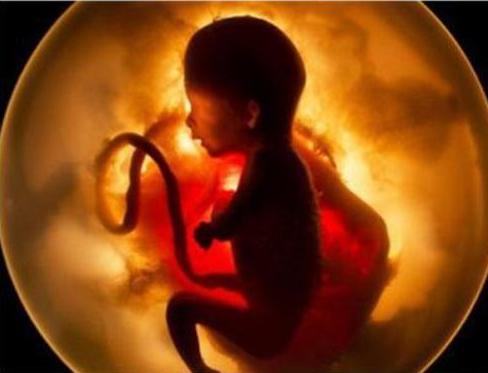 新生儿一天几次排便是正常的,新生儿每日排便几次正常