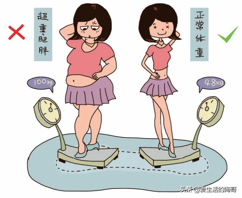 减肥最快的方法5天瘦十斤秋天,秋季如何减肥又快又有效