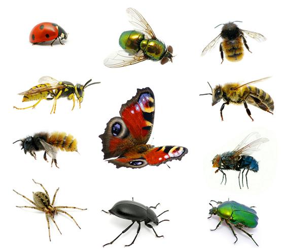 23岁女孩得了银屑病怎么办,学生得银屑病怎么办