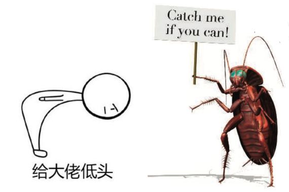 教你一招轻松解决蟑螂,家有蟑螂不要急教你一招