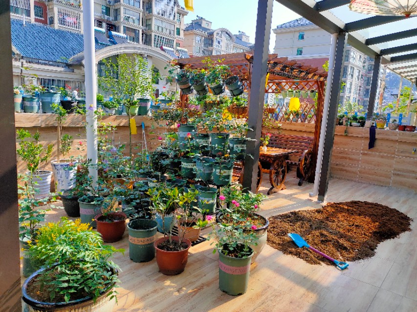 自制花架省钱又漂亮,自制花架全部教程