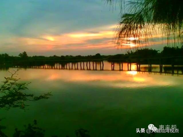 惠来各乡镇姓氏排名,惠来县姓氏一览表