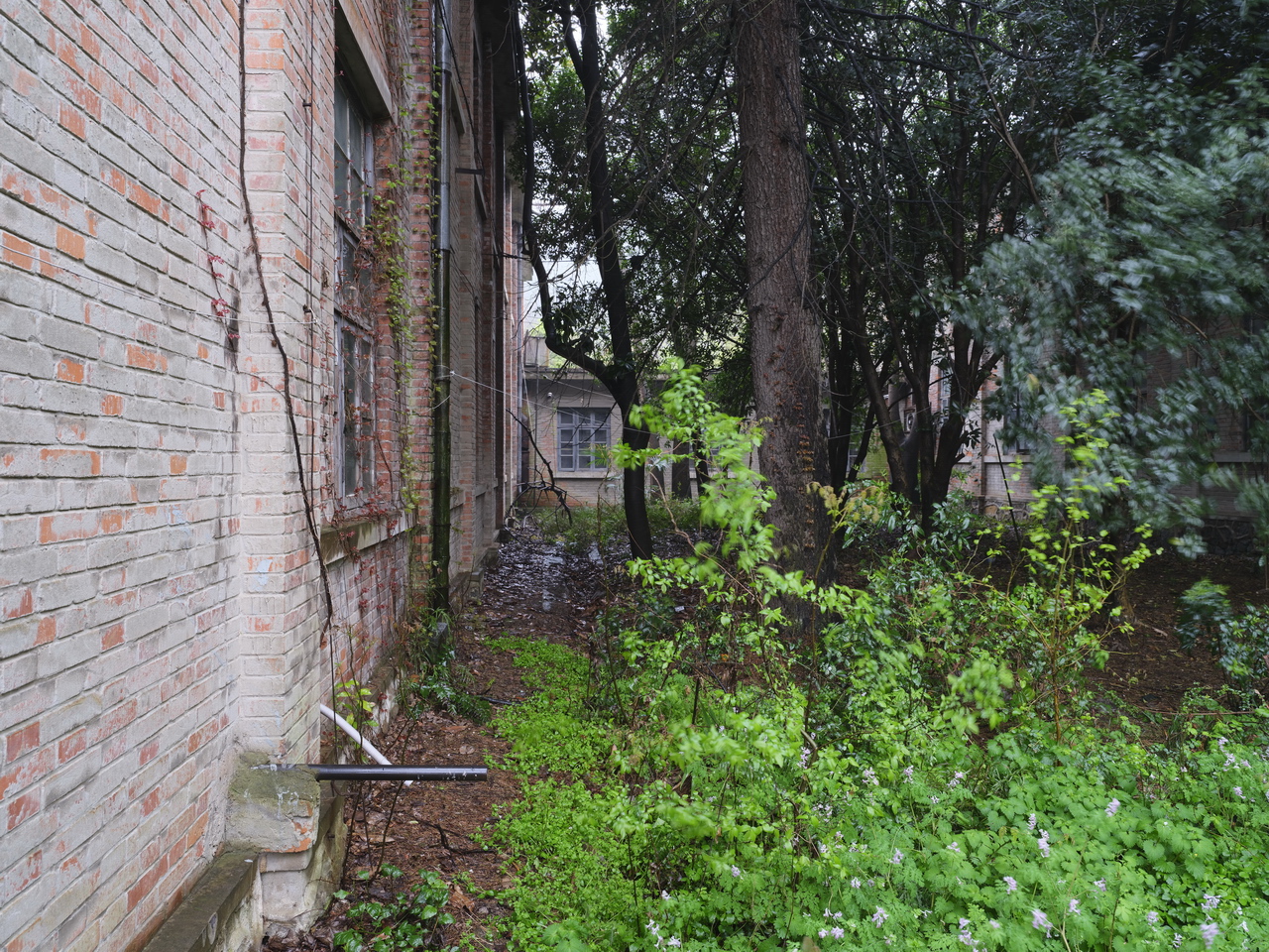 三线企业宏伟机械厂,三线企业宏伟机械厂老厂区视频