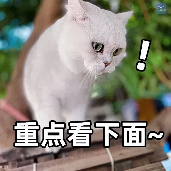 孕妈吃水果充饥可以吗,孕妈吃水果的错误观念