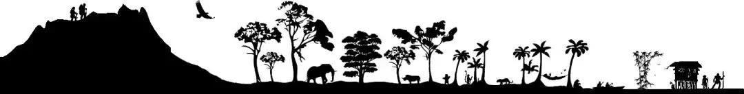 必收藏香港旅游攻略分享,香港淘货必买清单