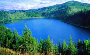 20200217周一黄金操作分析及建议,德国dax期货实时行情