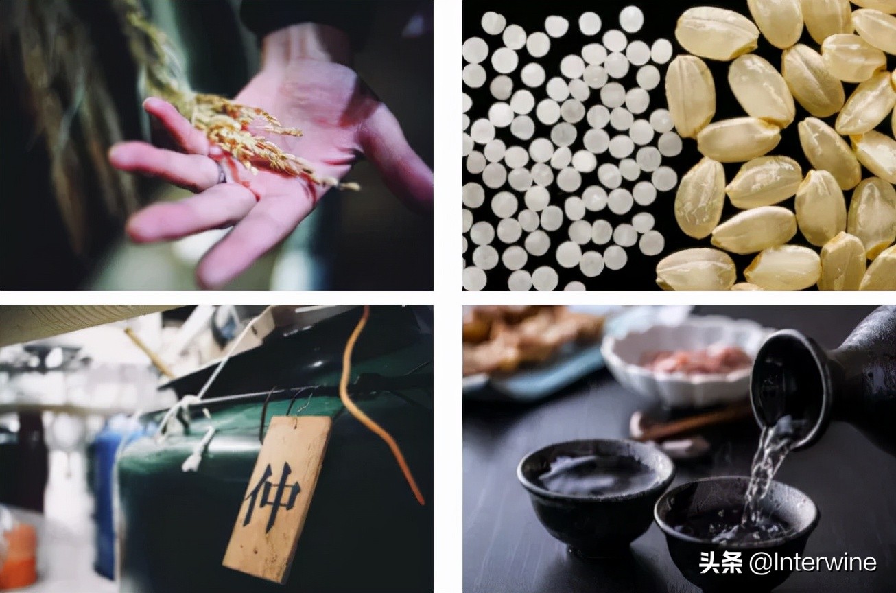 深圳|Kobe老师再开课！轻松掌握清酒烧酎精髓，只需这样一门课