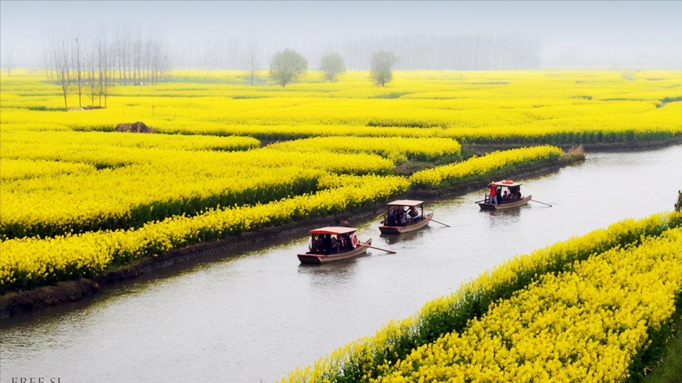 江苏省泰州市区域划分图,江苏泰州市属于华南还是华东