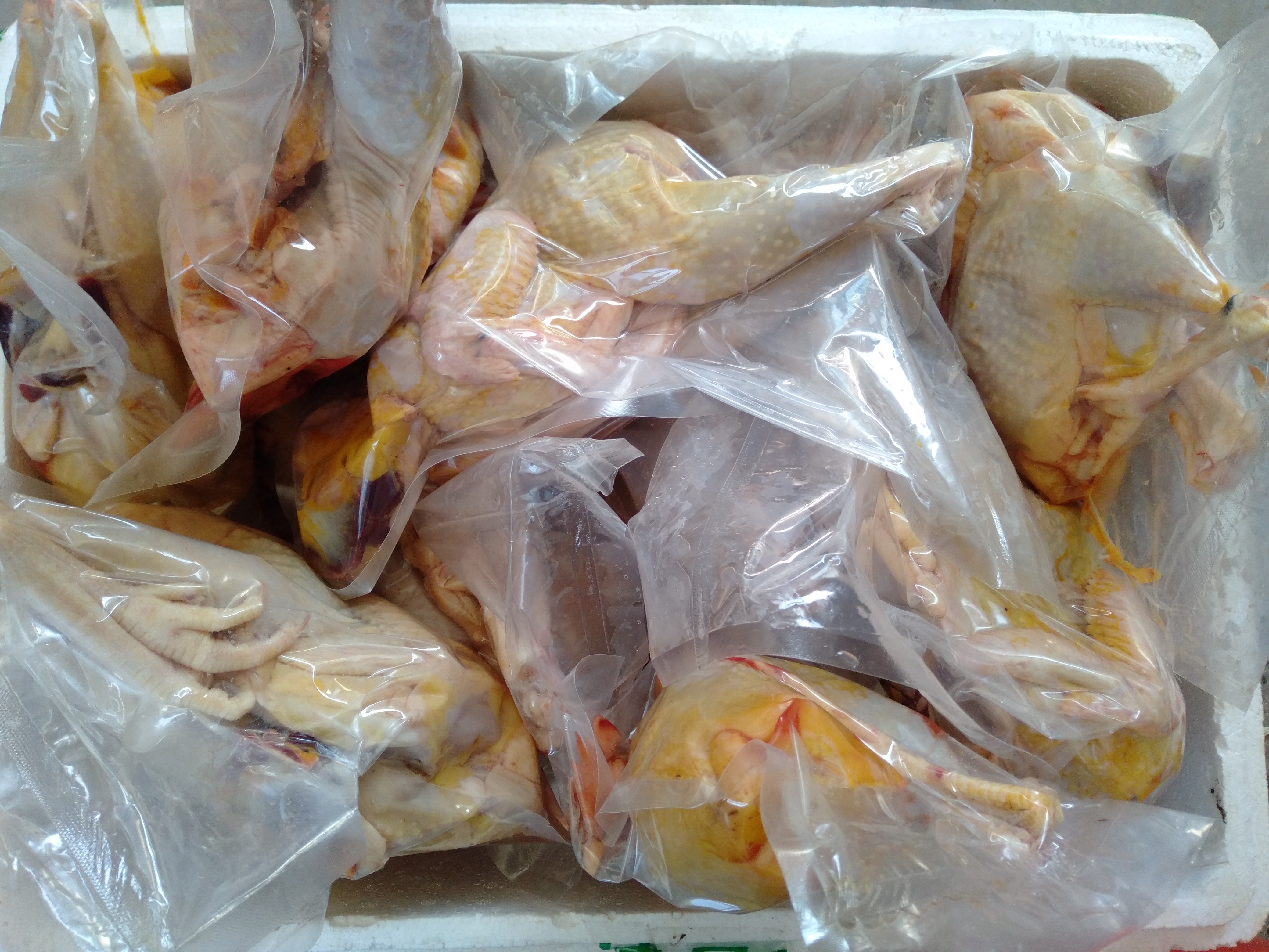 散养土鸡能赔钱吗,土鸡放养就是土鸡吗