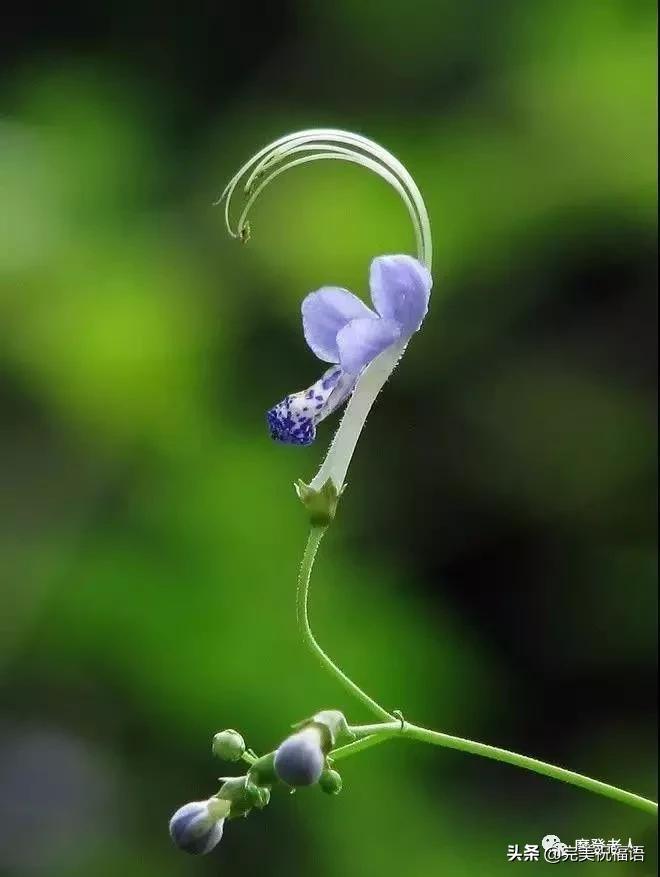 大年初三群相册，有群的都看看，太美了，这辈子见一次值了