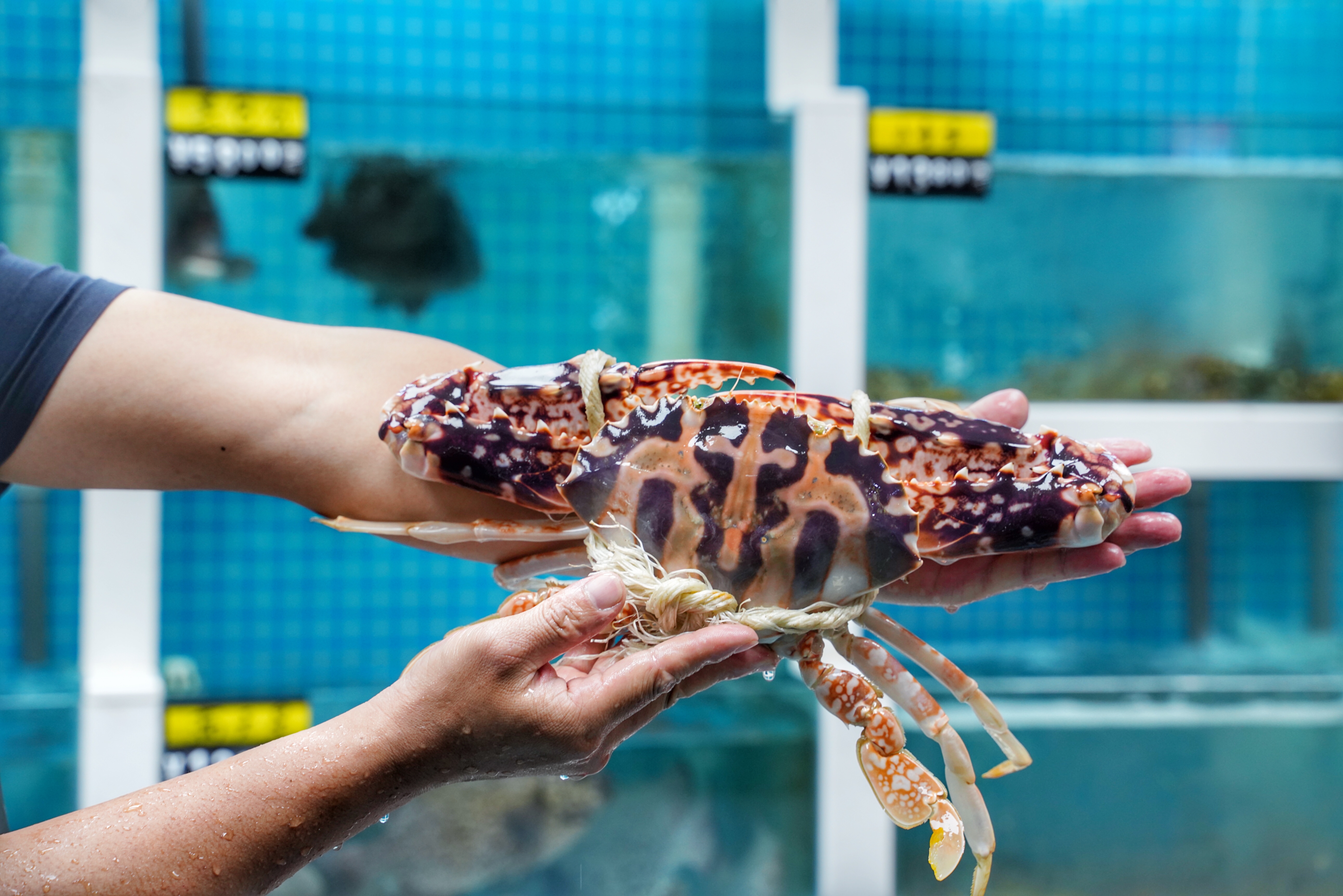 本地人都知道的海鲜大排档,都说来过还想再来