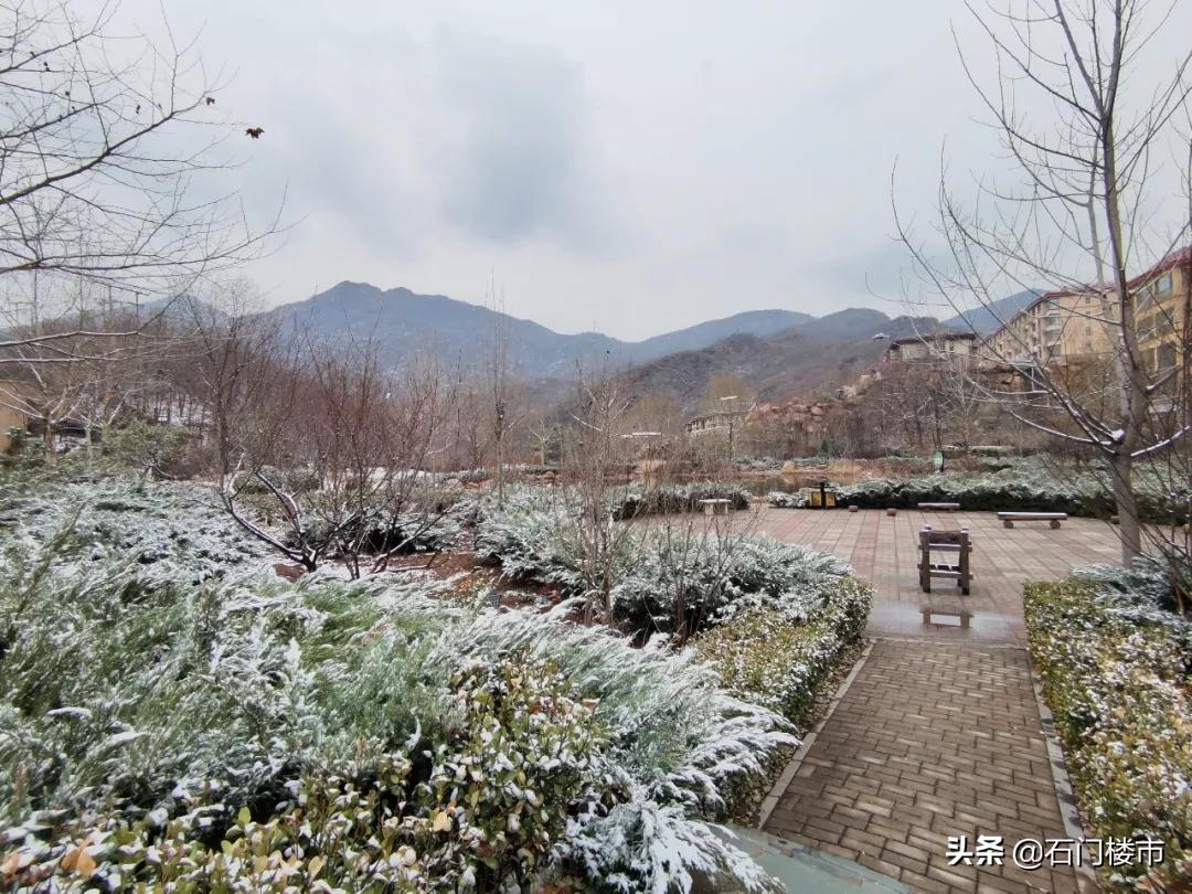 实探现场,实探日本果园