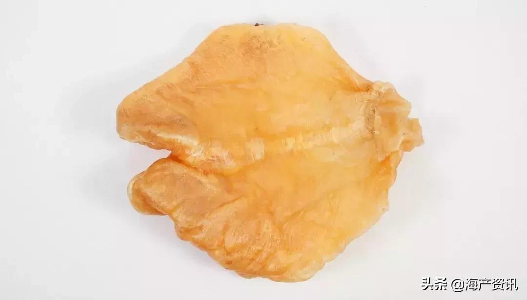 怎么区别花胶公母有教程,花胶公母区别方法图解