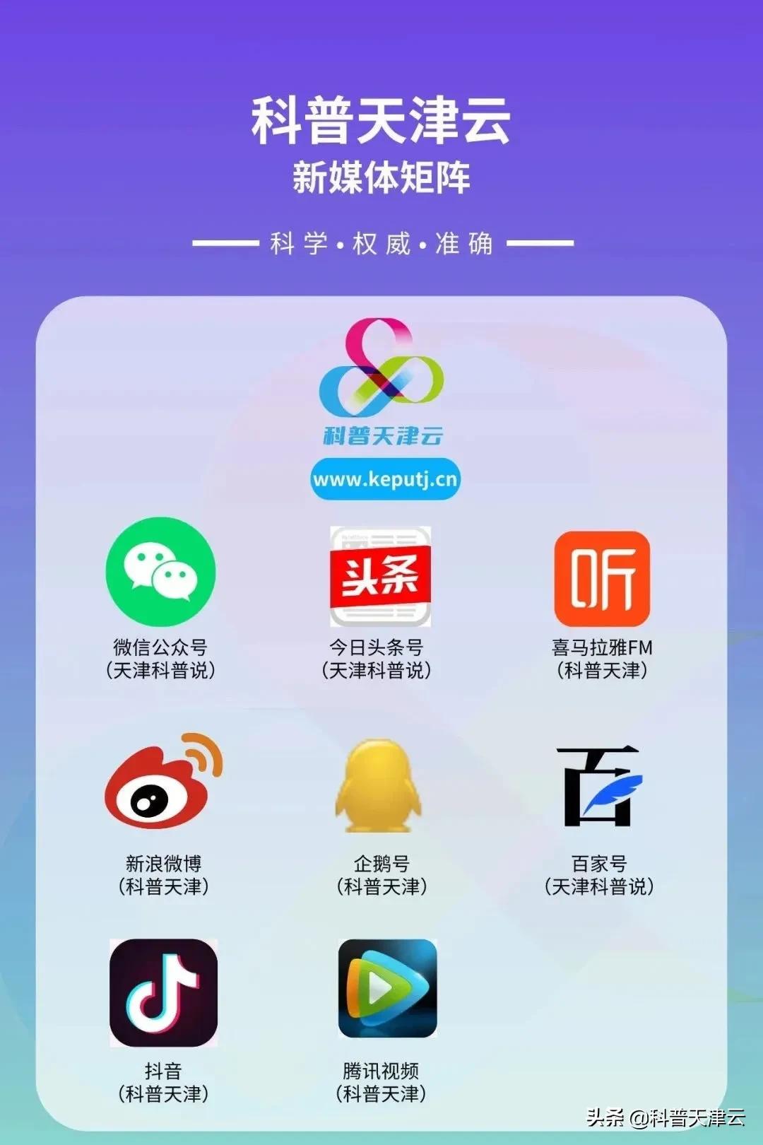 冰知识科普,关于冰的东西