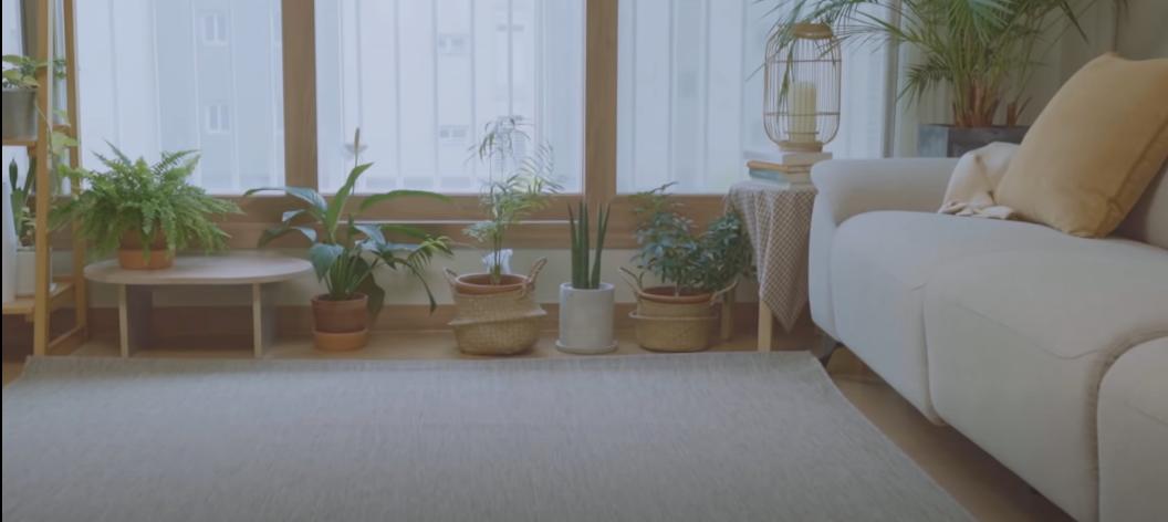 5个很少人知道的生活清洁小妙招,家居清洁都有哪些诀窍快来看看吧