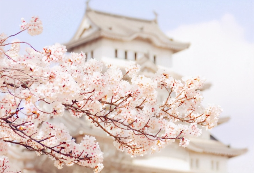 2020年3月5日惊蛰视频,3月5号是惊蛰节气吗