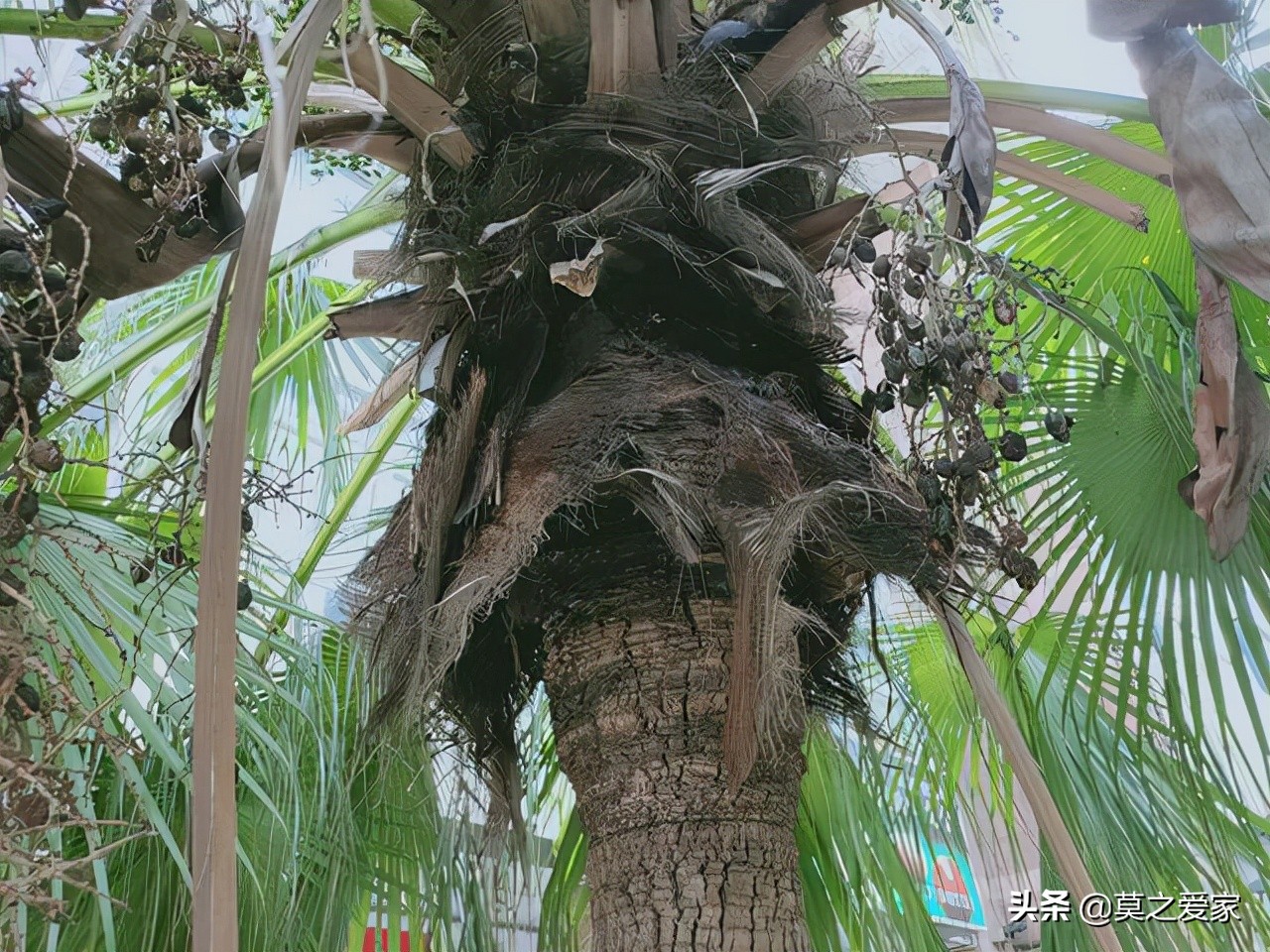 1米5的床用多大的床垫合适,1.1米的床用什么床垫好