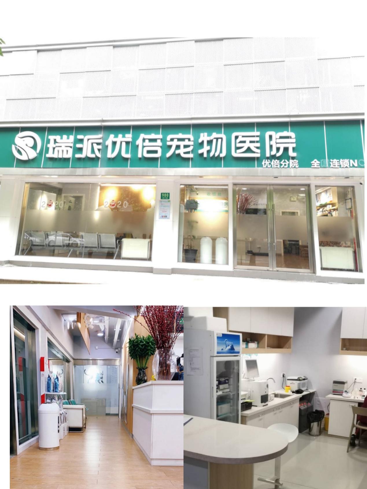 上海路的宠物医院有哪些,上海最好的宠物医院老西门