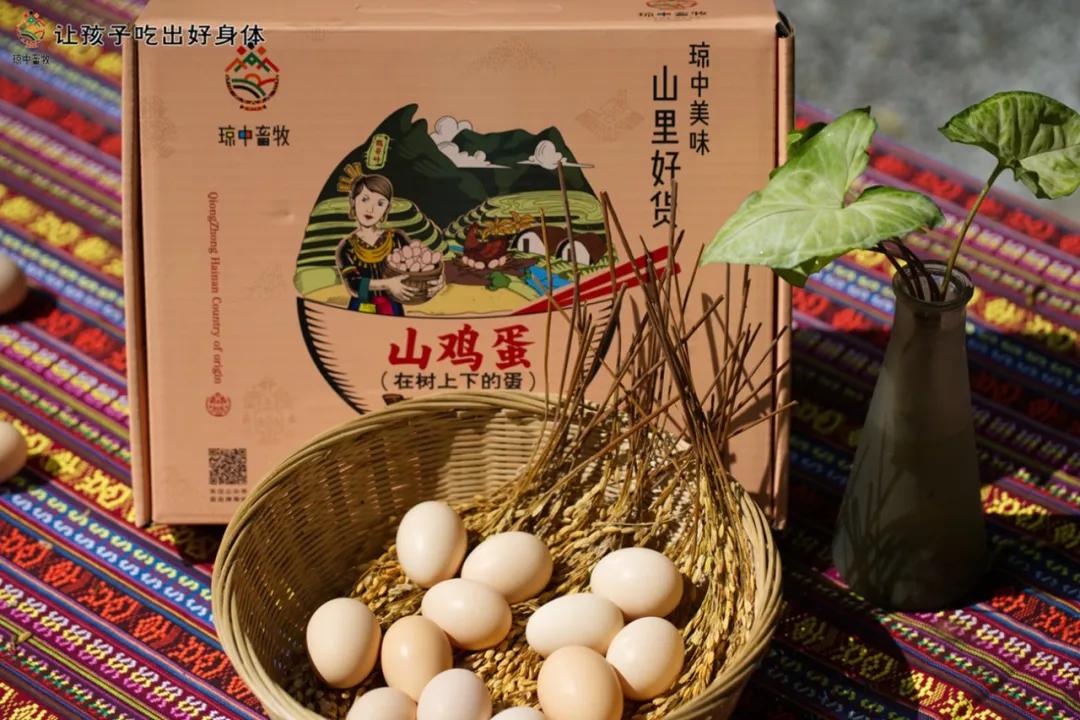 琼中女足最新比赛消息直播,琼中女足最新直播