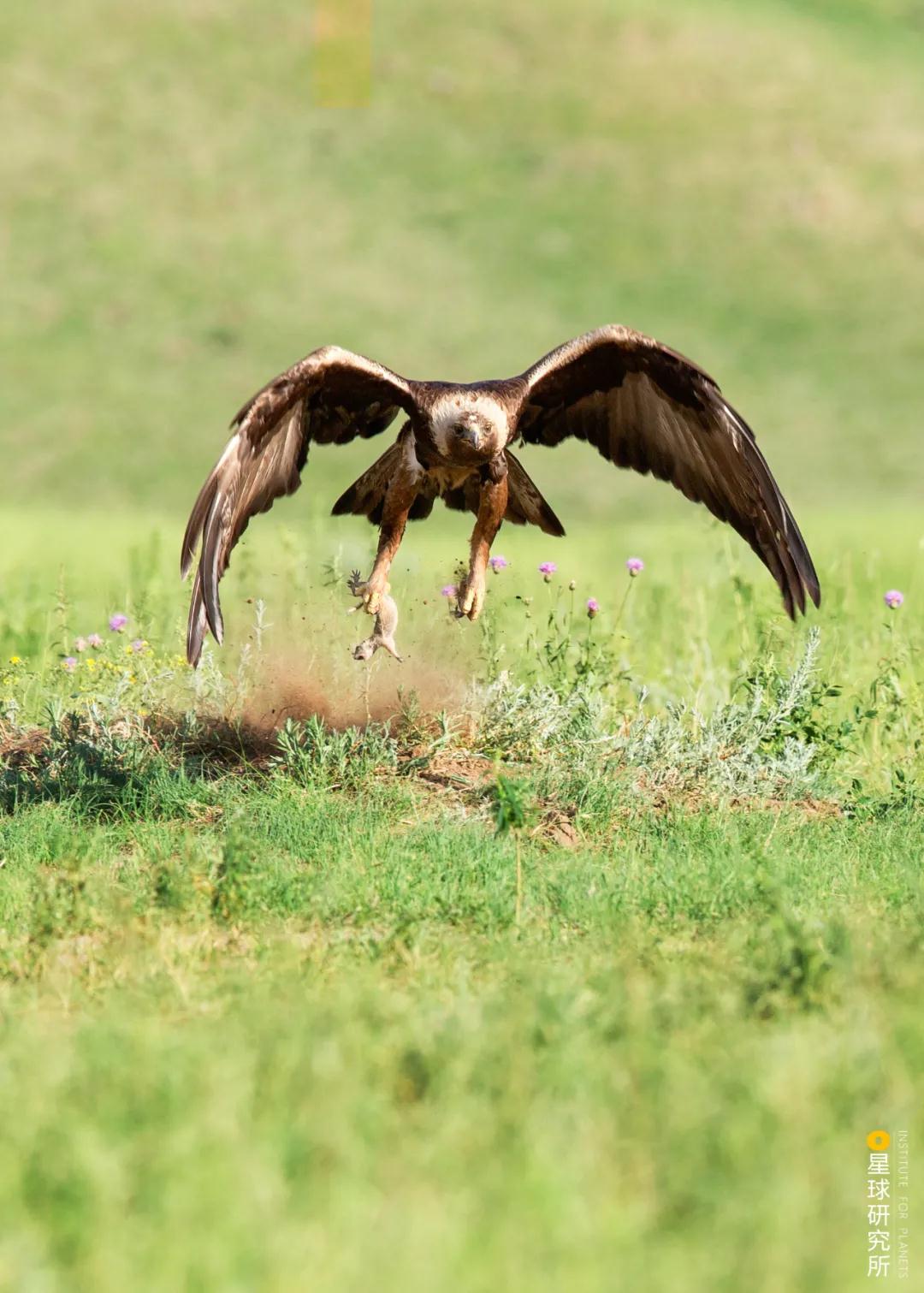 林草领域知识图谱,林草科普专业术语