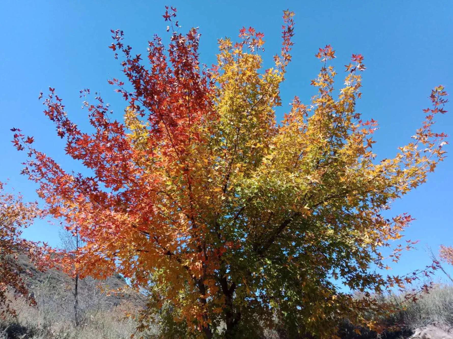 碧岩龙泉山庄,万柏林龙泉山庄