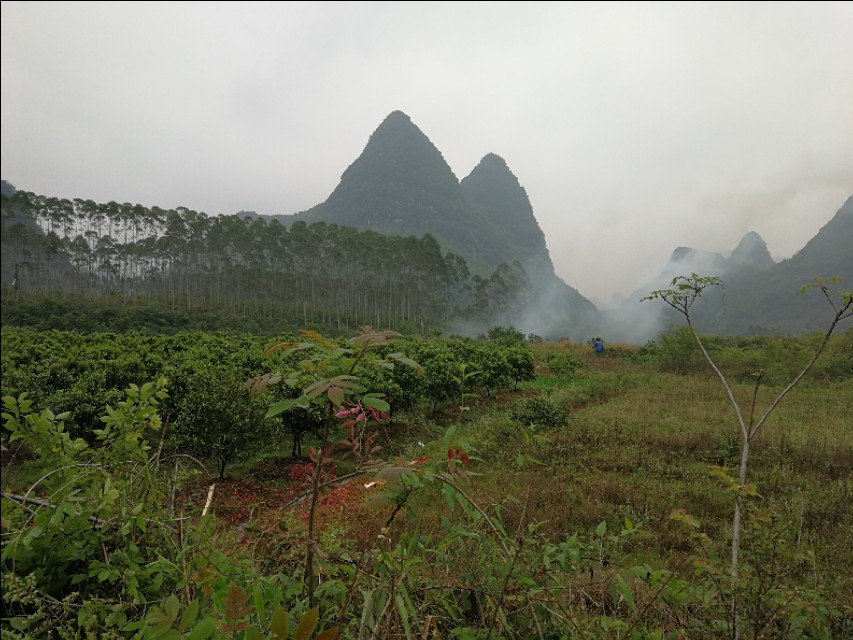疫情期间回家要做哪几件事,疫情期间回家的经过