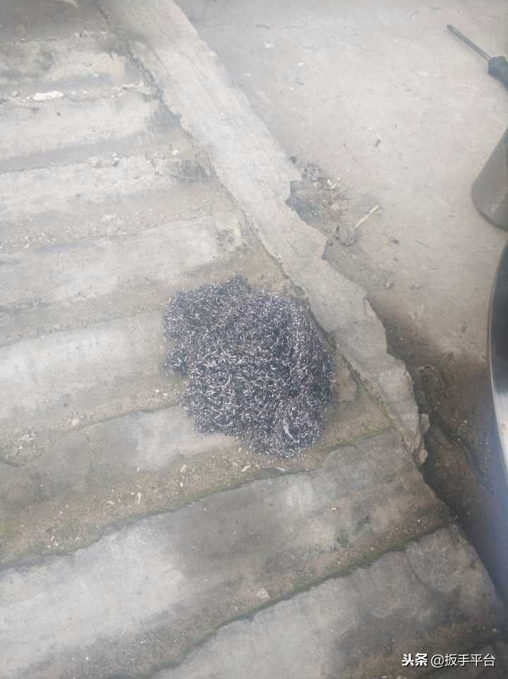 油烟机深度清洗及维修,师傅维修油烟机