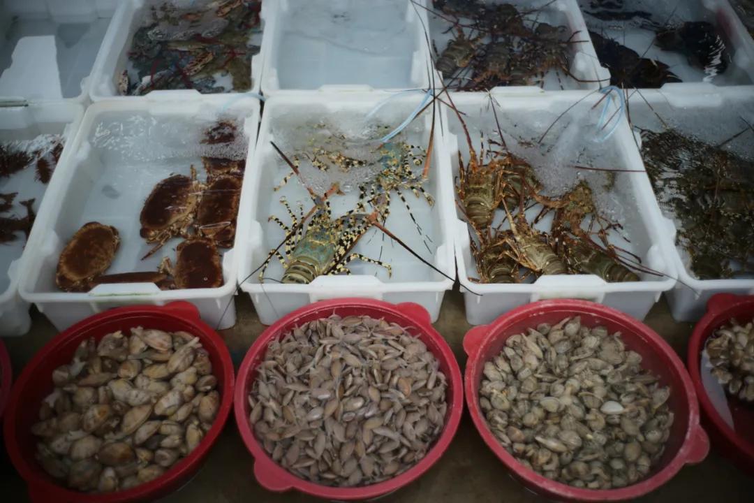 在海南岛最霸气的渔港码头,海南十大渔港码头