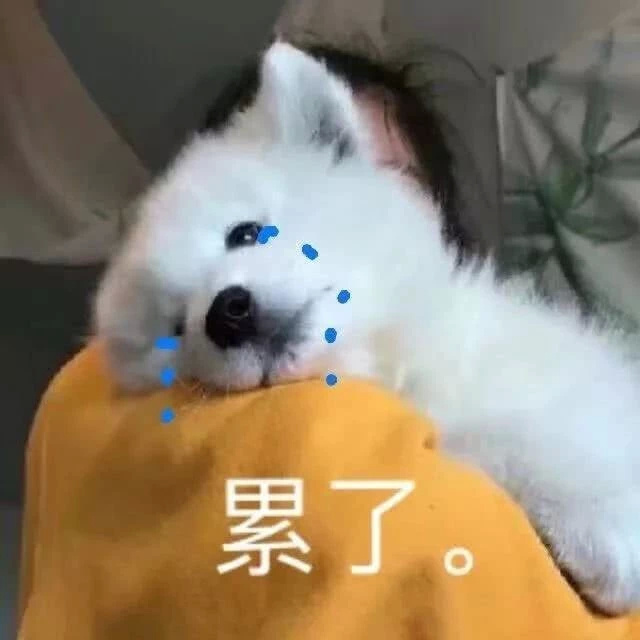 莆田哪种鞋最值得入手,莆田鞋在哪里入手