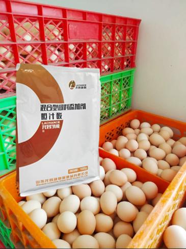 2020年7月鸡蛋价格什么时候会涨,2020鸡蛋价格上涨的原因是什么