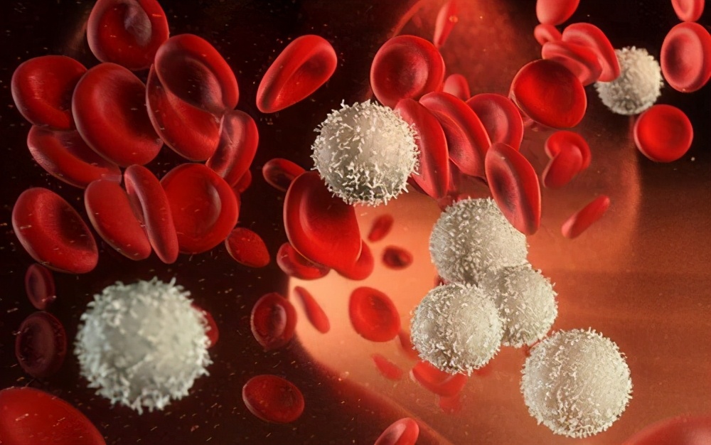 白血病复发女,白血病女孩骨髓复发