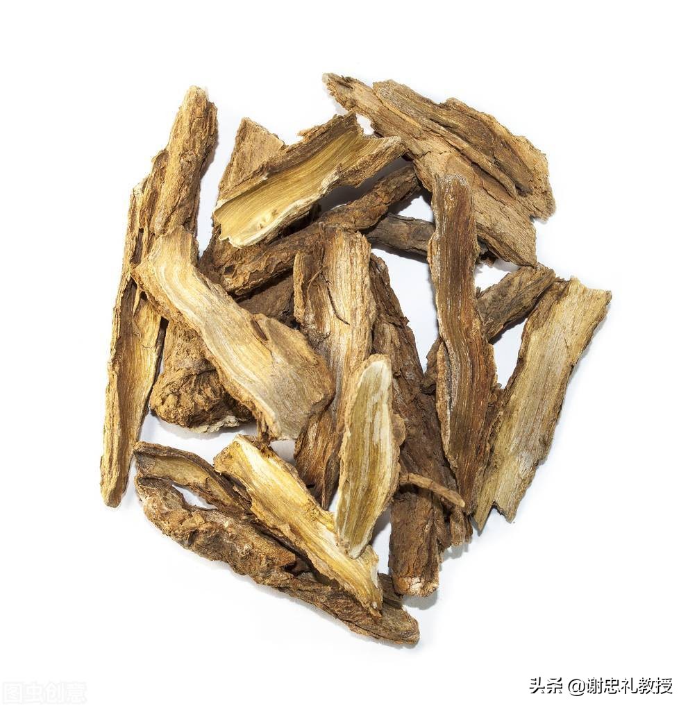 中药五加皮的作用和功效,中药五加皮别名与作用