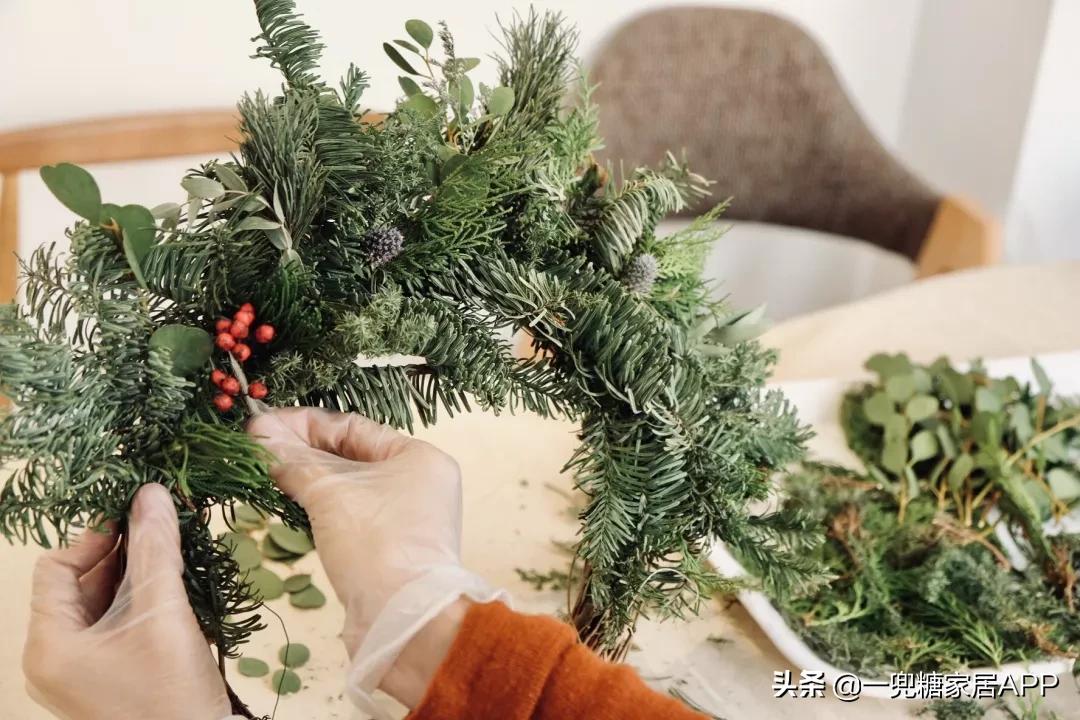 绉嶈崏鐢熸椿鏂瑰紡,绉嶈崏缁囧竷