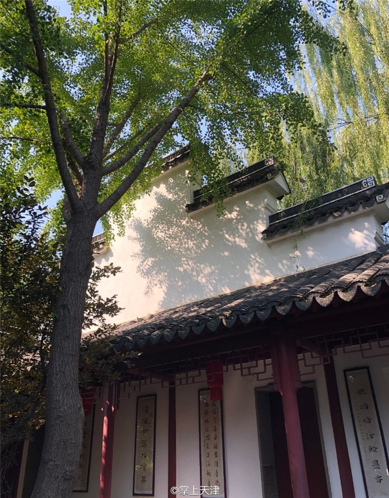 滨海生态城动物园,塘沽5块钱动物园