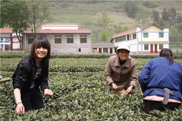 一个四川女人在广东创业,80后小伙儿农村创业年收入十几万