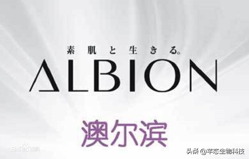 日本平价美妆品牌推荐女生,日本有哪些美妆品牌