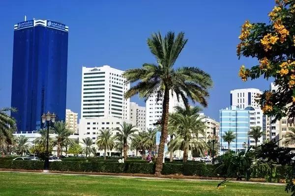 迪拜捡垃圾致富是真的吗,迪拜捡垃圾月入百万