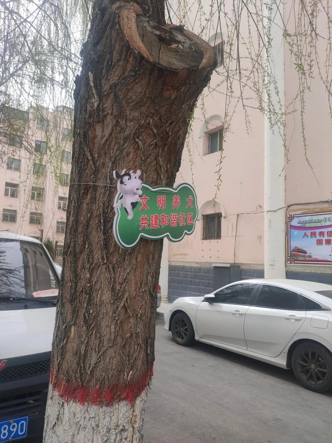 宁夏吴忠遛狗,吴忠适合遛狗的公园