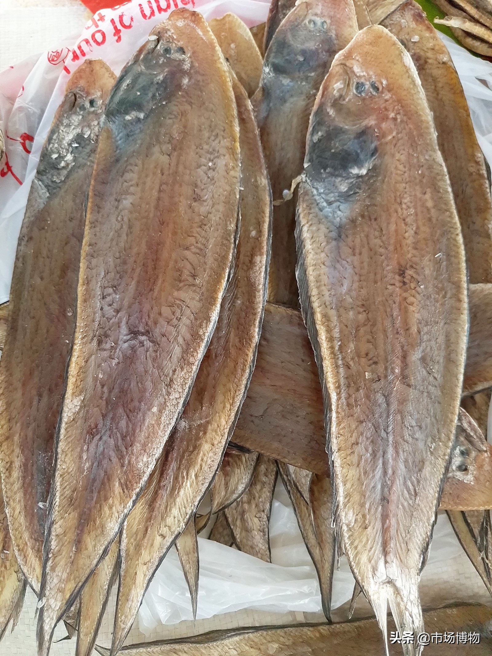 夏天晒咸鱼苍蝇很多怎么办,晒鱼干被苍蝇下蛆虫怎么处理