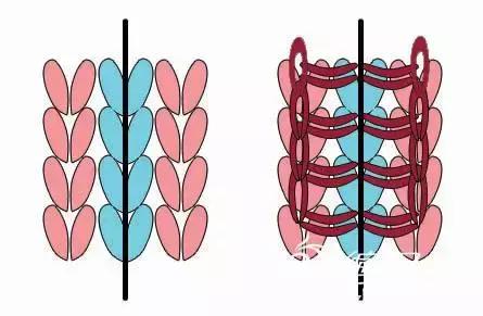 编织教程视频毛衣,毛衣剪了如何防止脱线