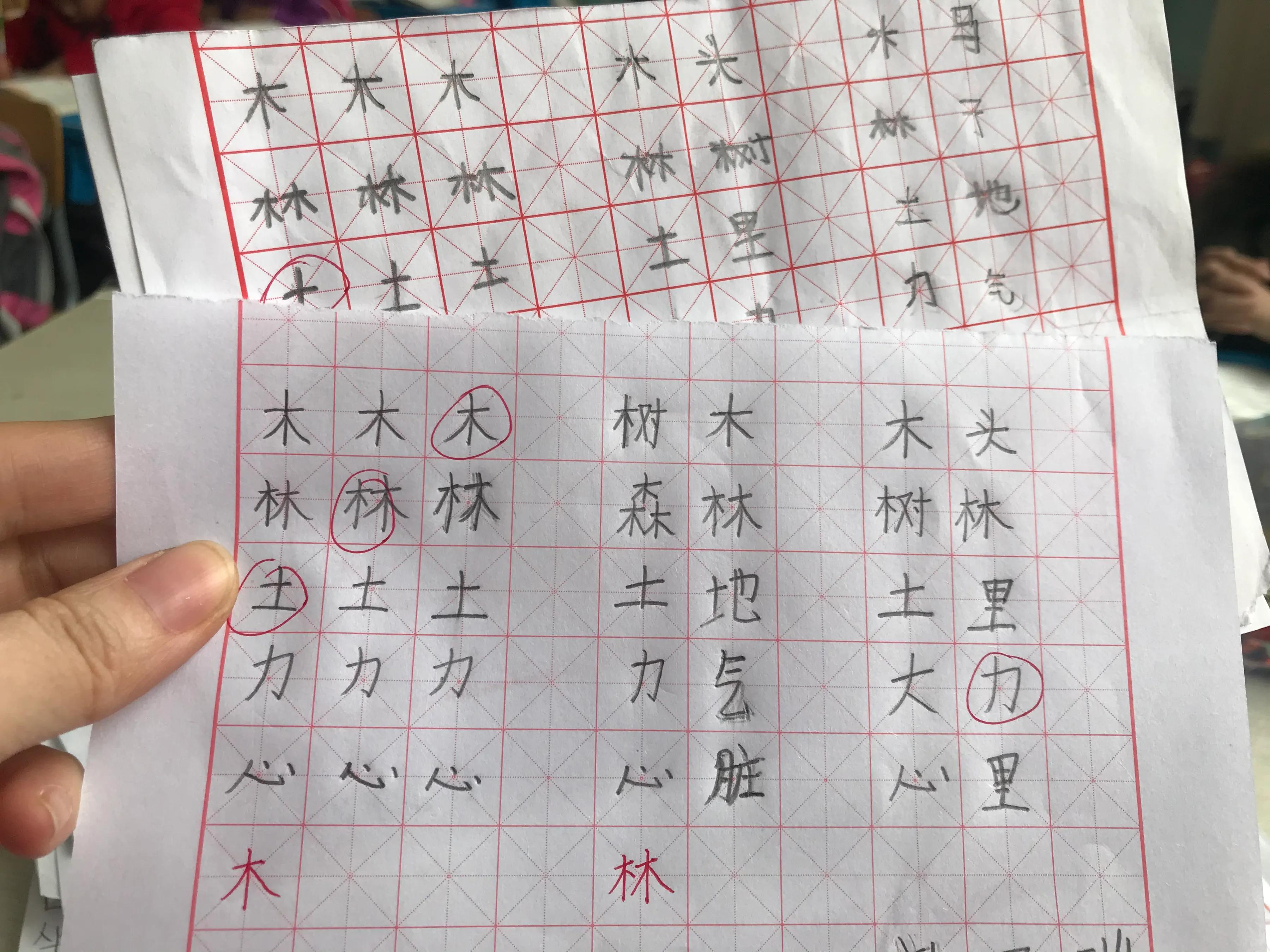 如何进行有效的写字教学,写字教学的基本思路