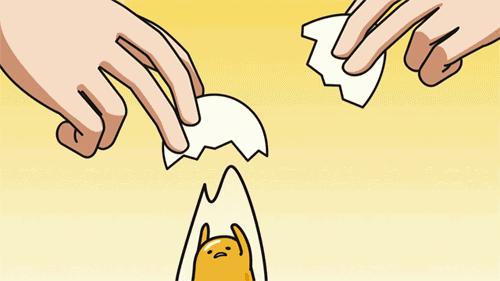 趣闻冷知识奇闻异事,关于蛋蛋的冷知识