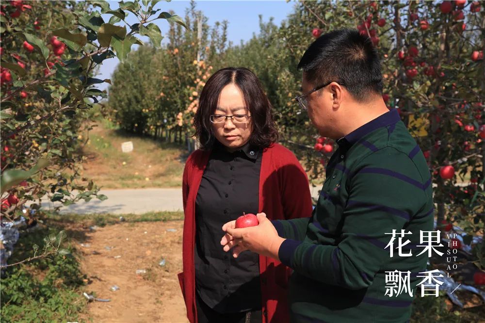 一箱水果能赚多少钱,一箱水果利润多少