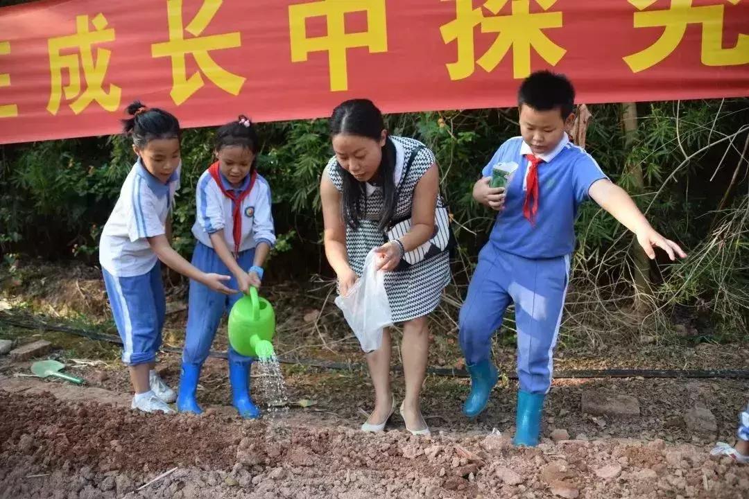 凤凰学校招生简章,凤凰学校招生公告