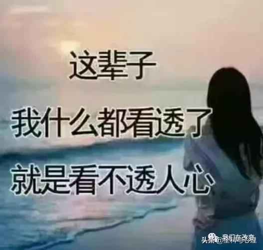 有一种深爱,叫不再联系!值得一读