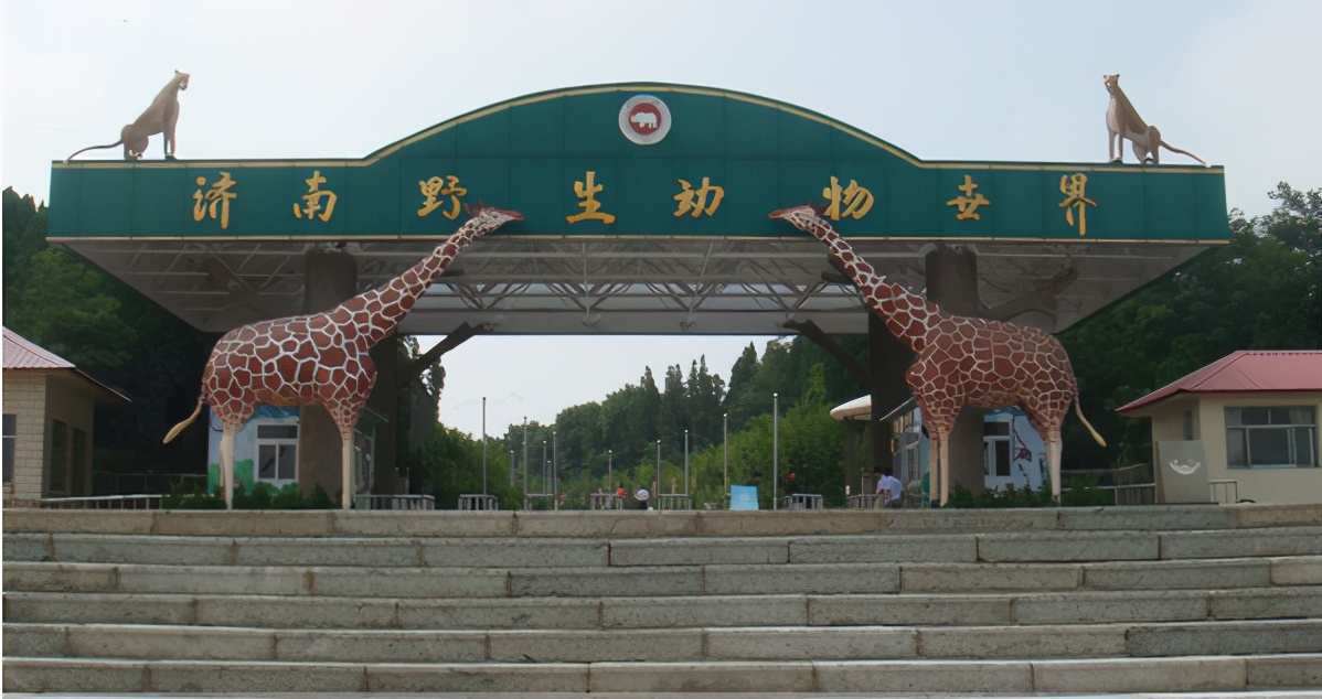 山东济南4a景点,济南市华山旅游景区