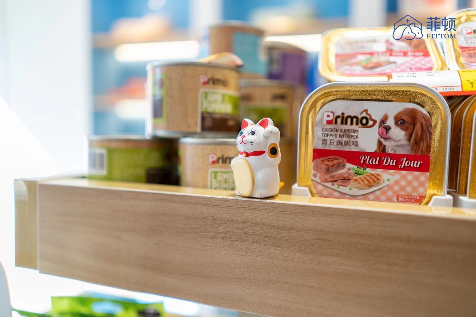 广州菲顿宠物线下康复靠谱吗,菲顿宠物