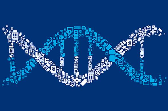 比利时女人爱上猩猩,比利时女子称与黑猩猩相爱